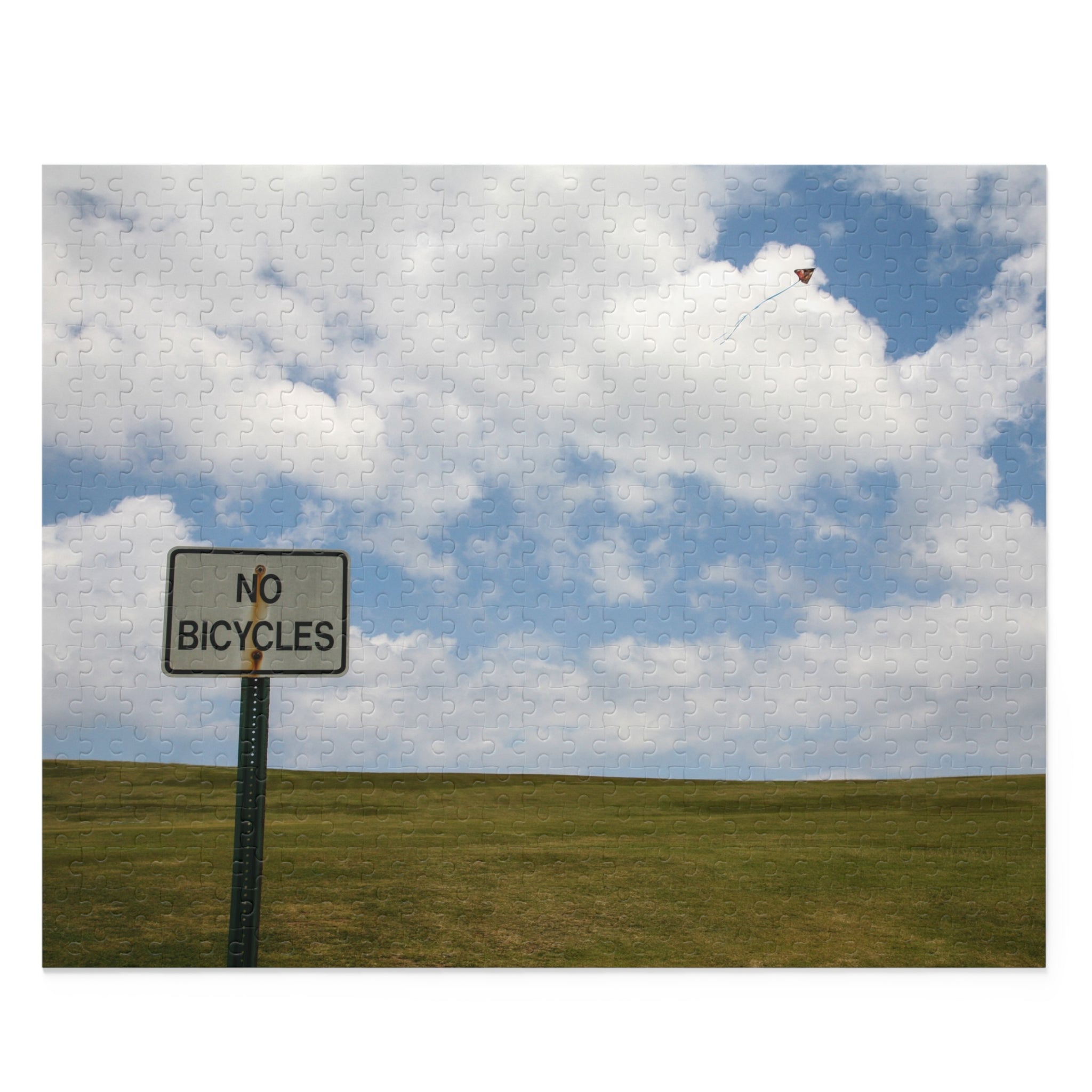No bicycles sign in a grassy field with a cloudy sky