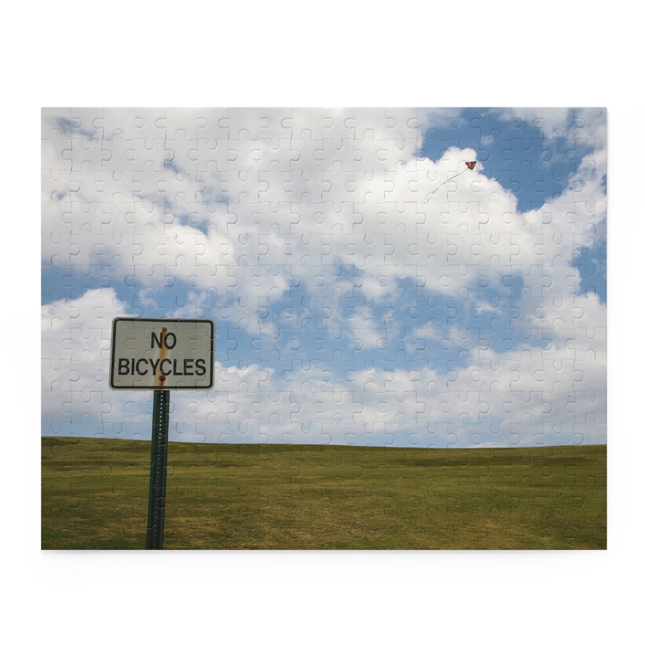 No bicycles sign on a pole with a cloudy sky and grassy field in the background