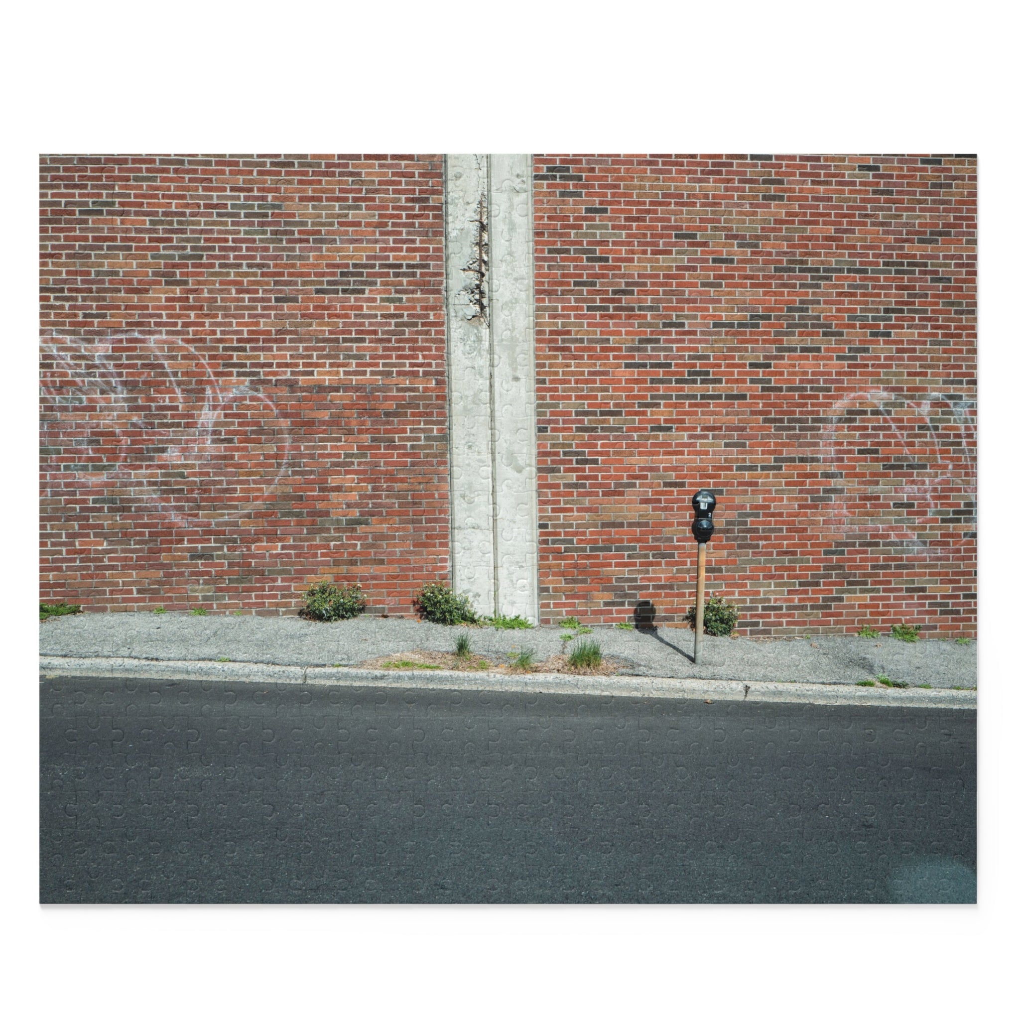 Street view with a brick wall, parking meter, and road.