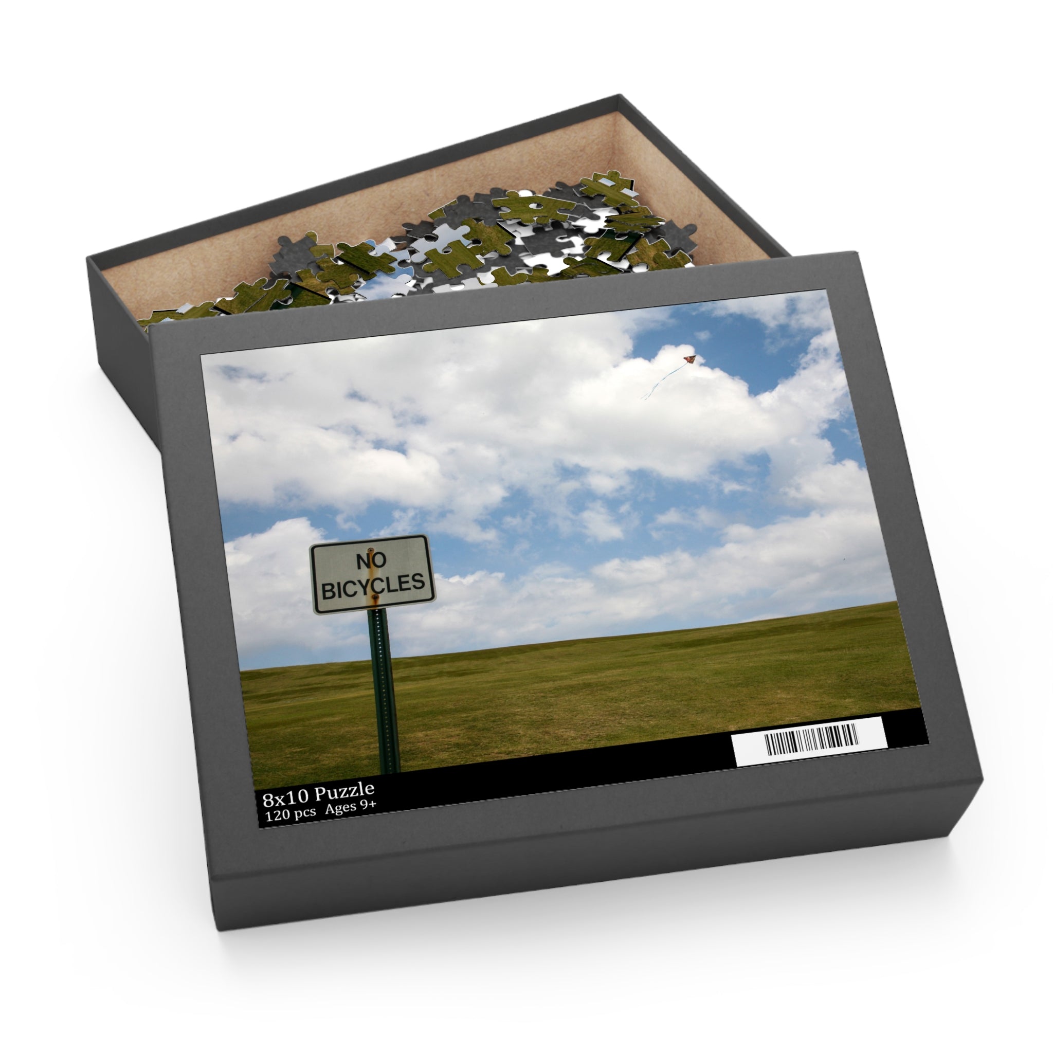 Puzzle box with a 'No Bicycles' sign on a field and sky design